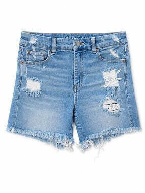 American Eagle Outfitters Light Blue Distressed Denim Cutoff Shorts